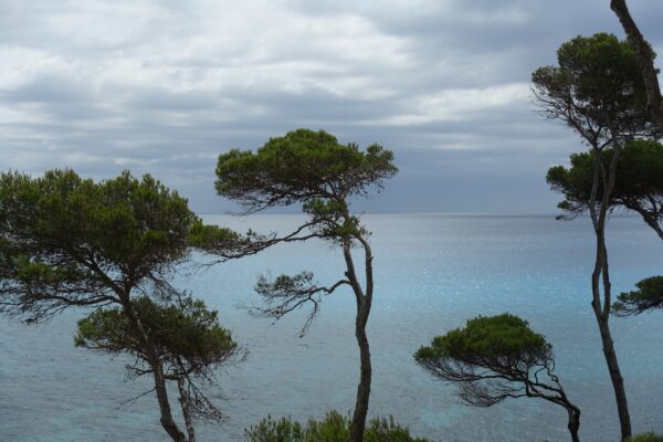 Mallorca sea breeze